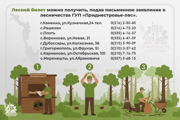 Правила сбора валежника Правила сбора валежника