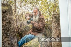 � �������������� ����� �������� �������� ������������ ������ � 70-����� ���������� ��������