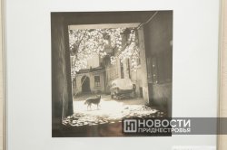 � �������������� ����� �������� �������� ������������ ������ � 70-����� ���������� ��������