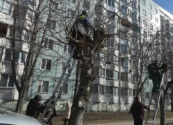 � �������� �������� �������� ������ �� ����� �� ������� ������������