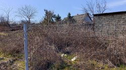 � �������� ������������ ������ �� ������� �������� � ������������ �������� � ��������������� ����������