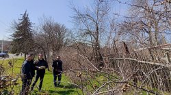 � �������� ������������ ������ �� ������� �������� � ������������ �������� � ��������������� ����������