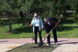 ��������������� ��������� � ���������� ��������