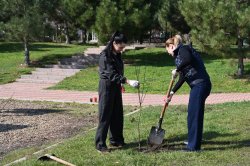 ��������������� ��������� � ���������� ��������