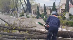 � �������� ��������� ����������� ��������