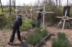 ��������� ������������� ������ ����� ��������� � ������� ��������� ���