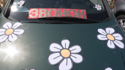 � �������� ��������� ������������ ���������� �����������