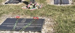 � ���� �������� ������� ��������� ��������� ����������� ������ ����������