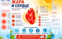 ���� � ������: ������������ �����������