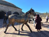 photo_2025-10-25_12-39-09_3