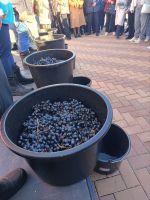 photo_2025-10-25_16-06-40