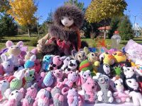 photo_2025-10-25_12-29-20