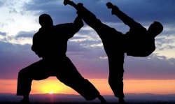 Фестиваль боевых искусств перенесли из Бендер в Тирасполь