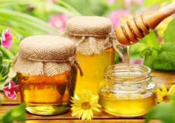 14 � 19 ������� ������� ����������� �������� � ����� �������� � ��������� ������