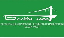 15 ������� � �������� ��������� ��������� ����� ������� ���������