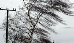 ��������� ��������������