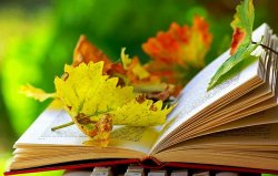 ������������ ������� ������� ���������� �������