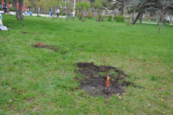 Памятные мероприятия, посвященные 80-летию Великой Победы, стартовали в Бендерах Памятные мероприятия, посвященные 80-летию Великой Победы, стартовали в Бендерах