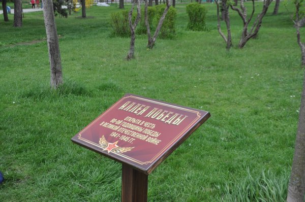 Памятные мероприятия, посвященные 80-летию Великой Победы, стартовали в Бендерах Памятные мероприятия, посвященные 80-летию Великой Победы, стартовали в Бендерах