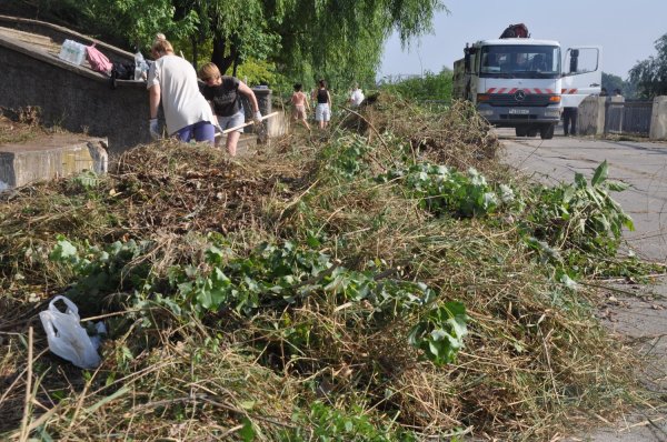 � �������� �������� ���������